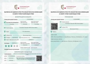 Выписка из реестра классификации